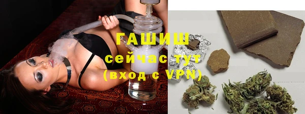 шишки Арсеньев