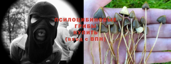 шишки Арсеньев