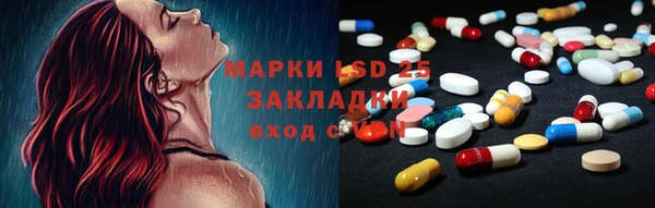 шишки Арсеньев