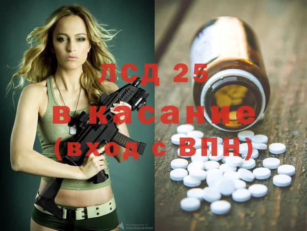 шишки Арсеньев