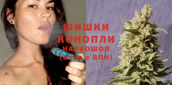шишки Арсеньев