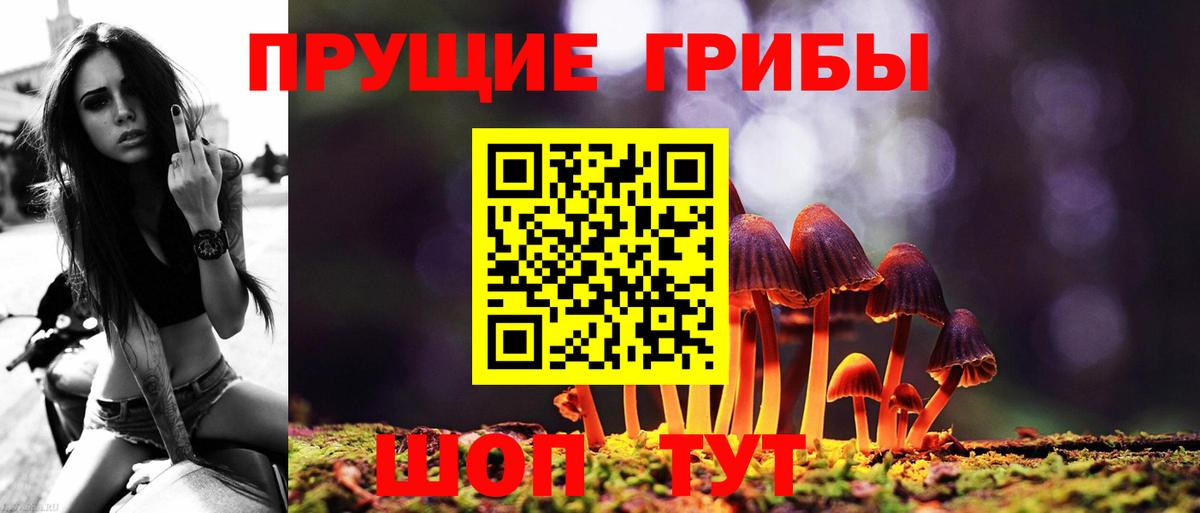 Галлюциногенные грибы Magic Shrooms  Вход с VPN  Нижнекамск  Псилоцибиновые грибы Psilocybine cubensis 