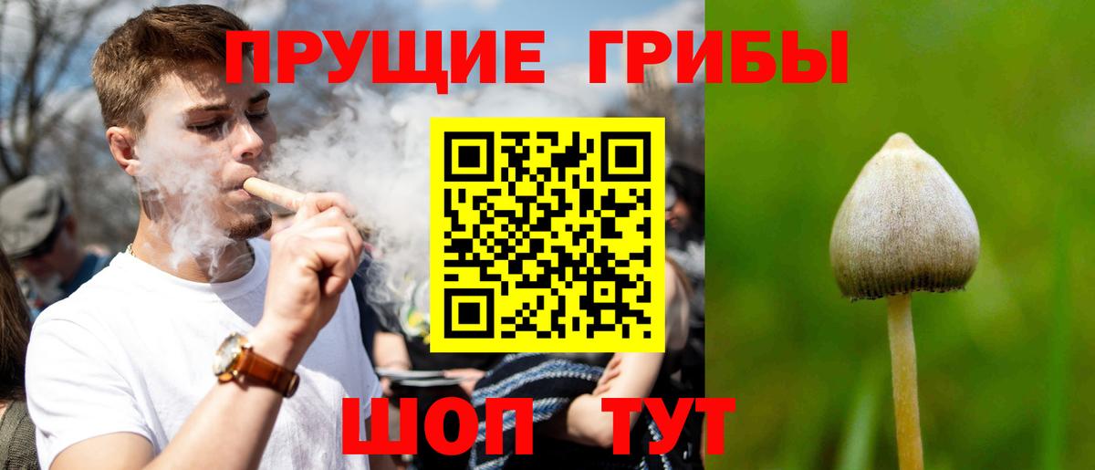 Псилоцибиновые грибы мухоморы Нижнекамск